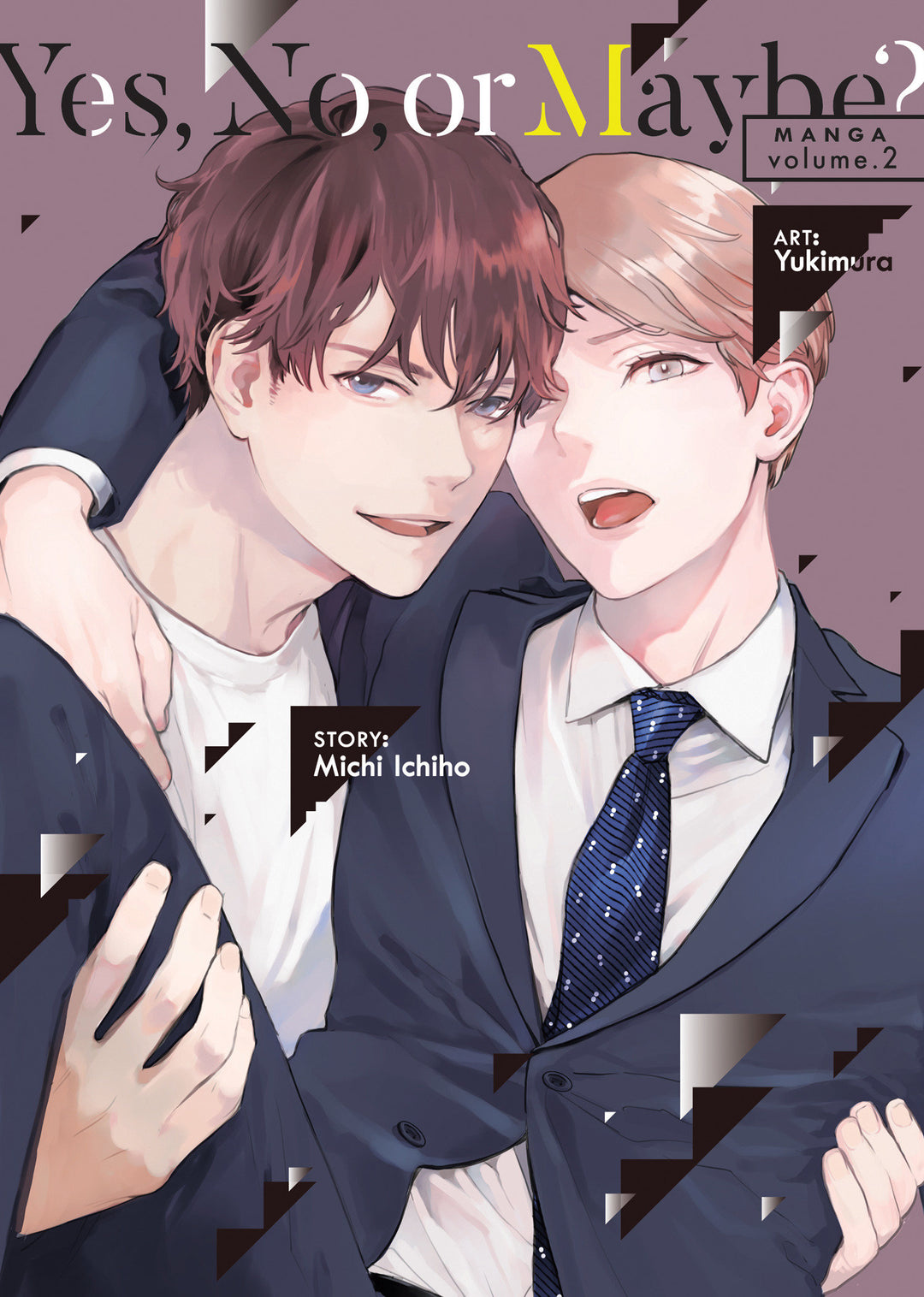 Yes, No, Or Maybe? (Manga) Volume. 2