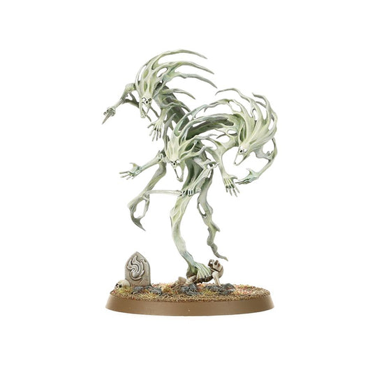 SPIRIT HOSTS