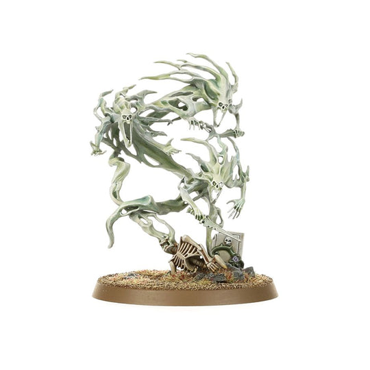 SPIRIT HOSTS