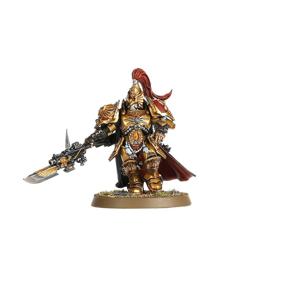 CUSTODIAN GUARD