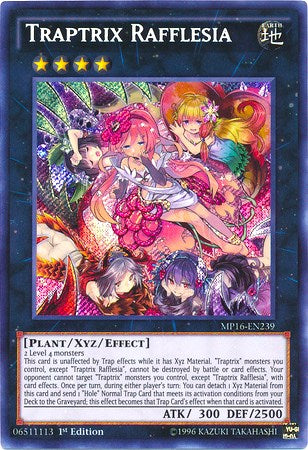 Traptrix Rafflesia