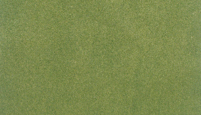 Spring Grass Mats