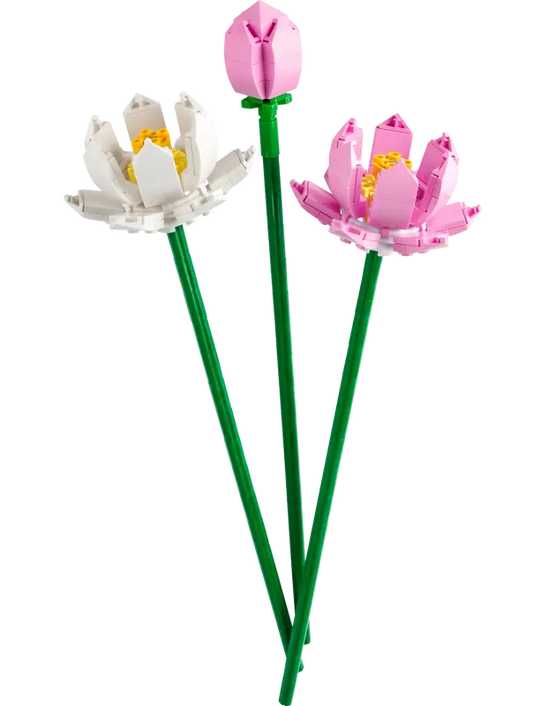 Lotus Flowers