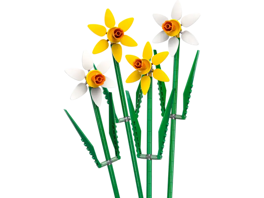 Daffodils