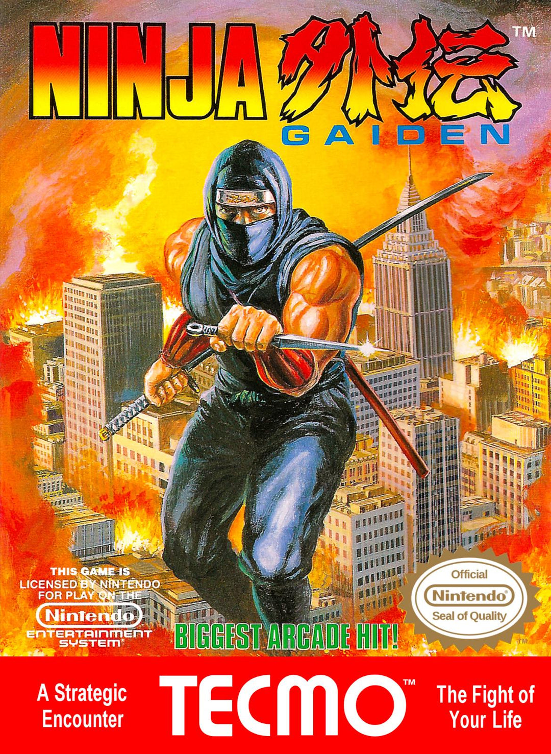 Ninja Gaiden II The Dark Sword of Chaos - NES