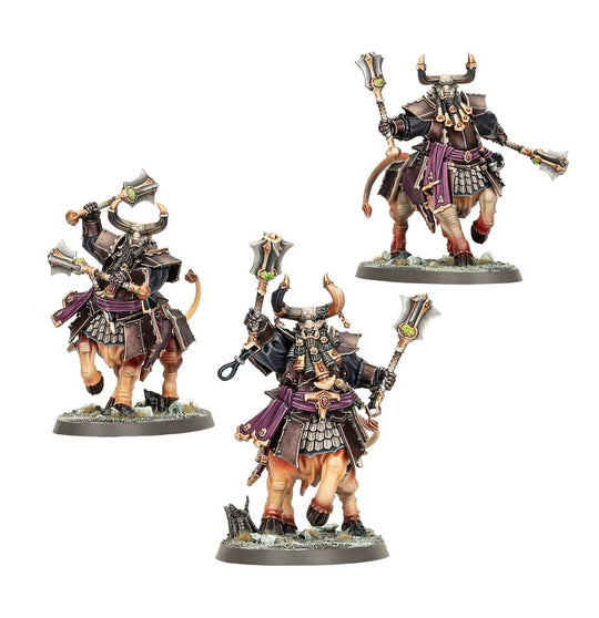 WARHAMMER AGE OF SIGMAR: BULL CENTAURS/ANOINTED SENTINAELS