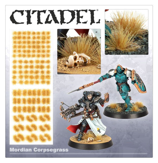 CITADEL TUFTS: MORDIAN CORPSEGRASS